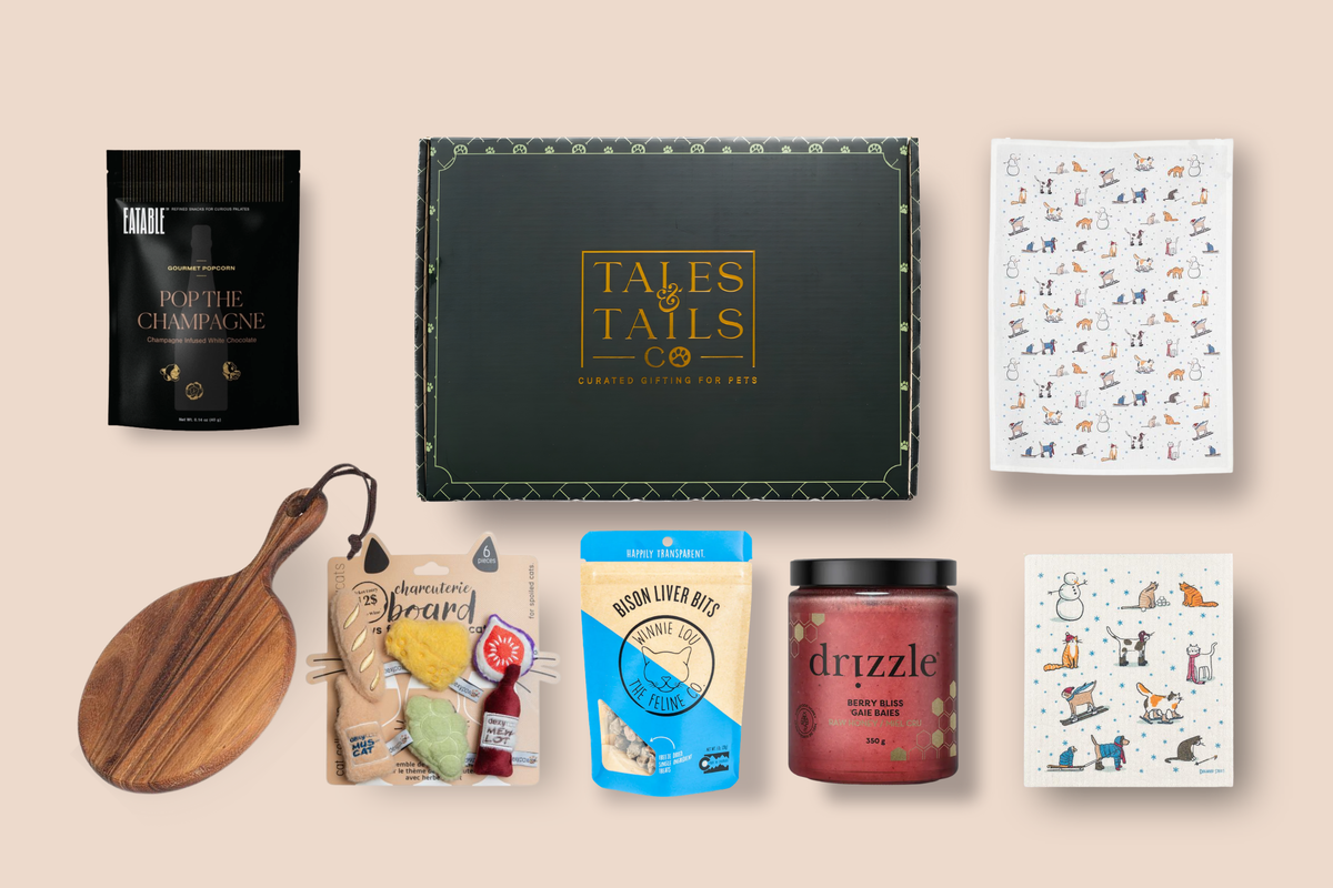 holidays gift box for cat owners