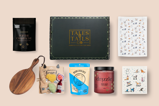 holidays gift box for cat owners