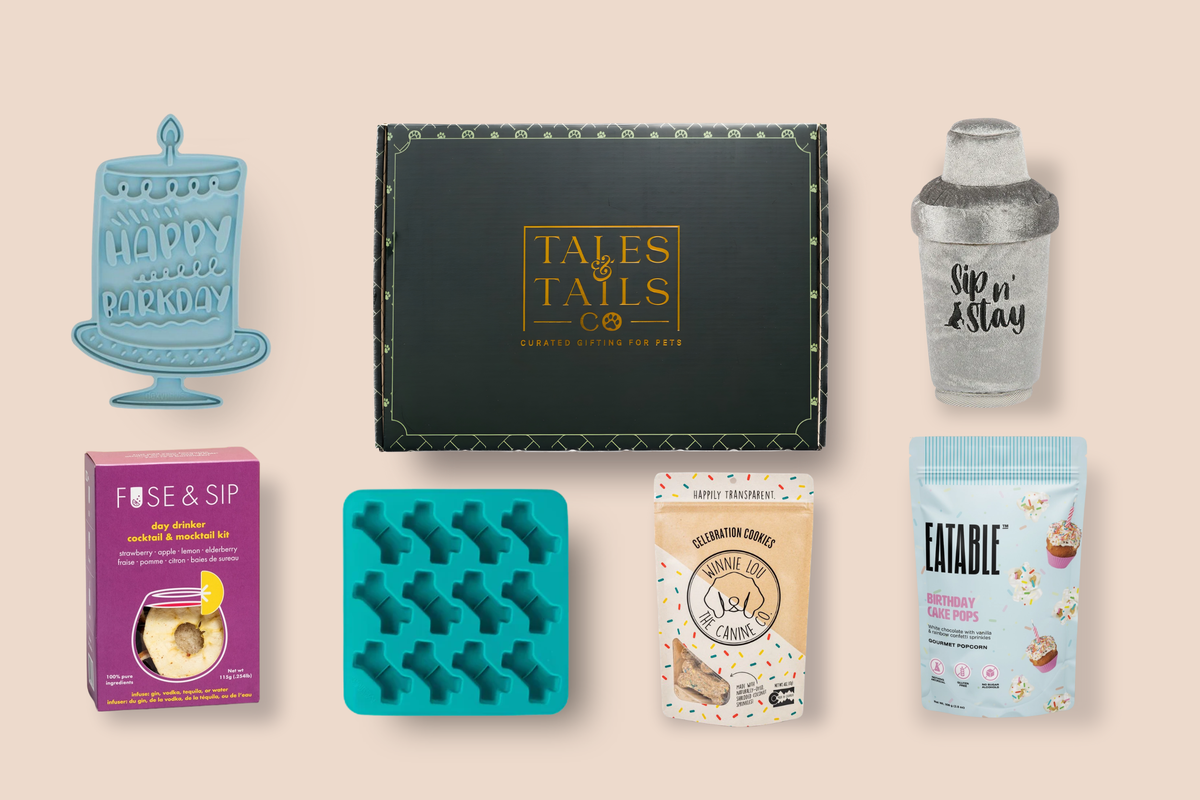 birthday gift box for dog owners gift offering