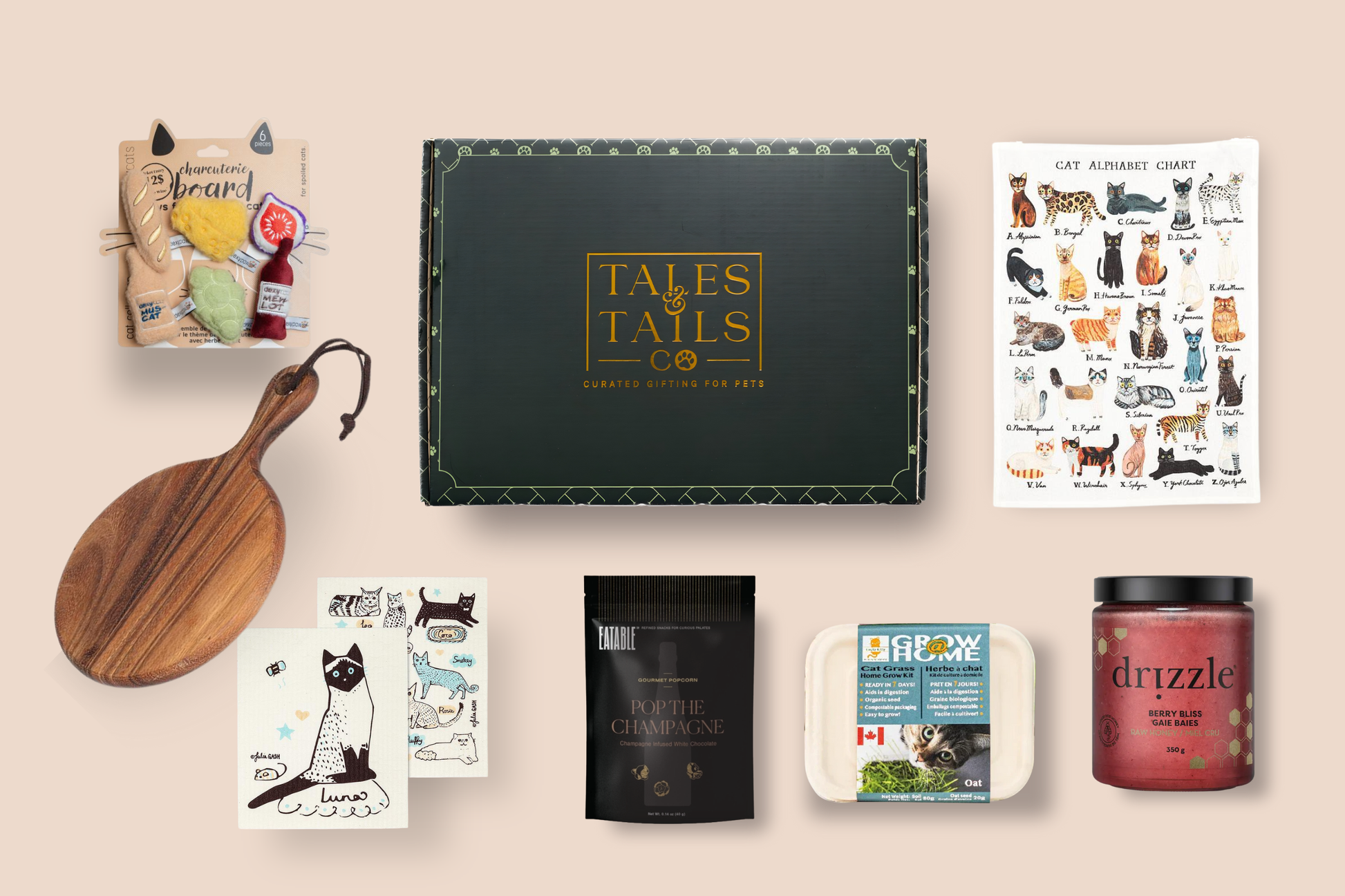 house warming gift box for cat owners gift offering