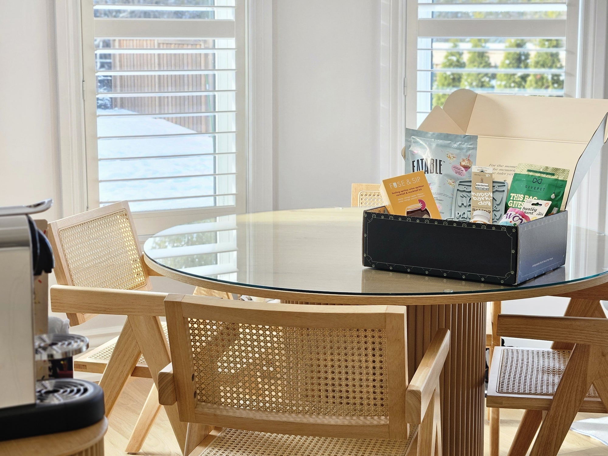 happy birthday cat gift box in a welcoming home