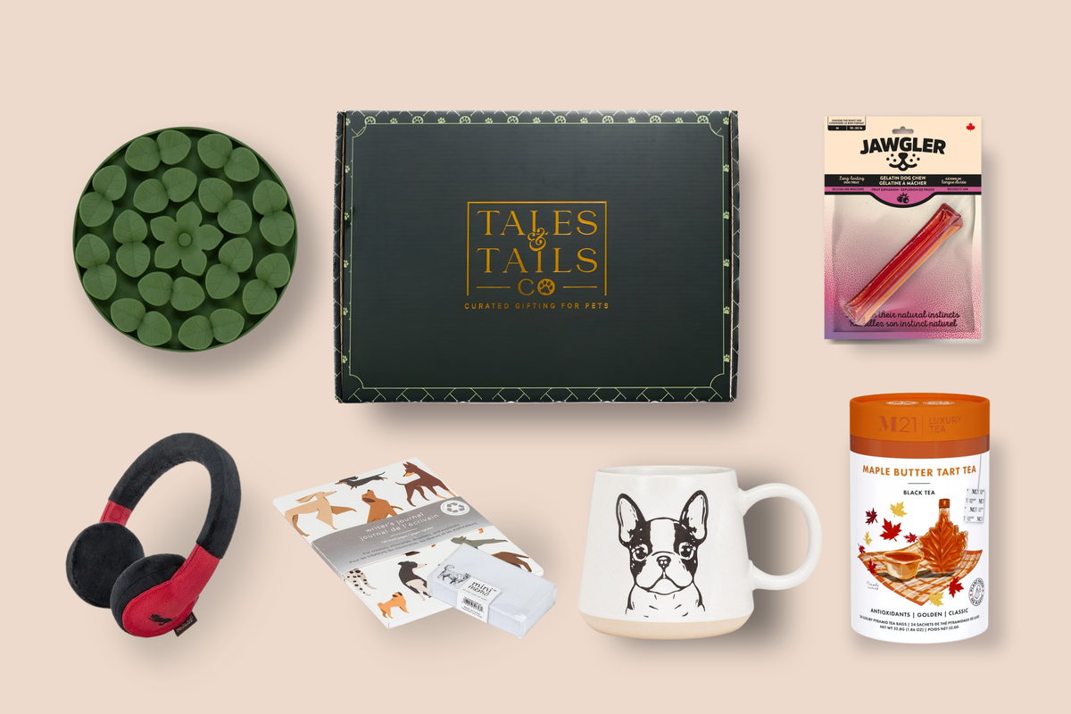 work from home gift box for dog owners gift offering