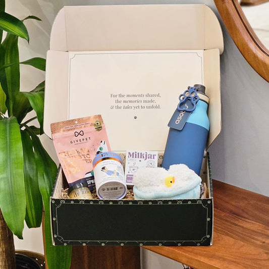 wag unwind dog gift box display