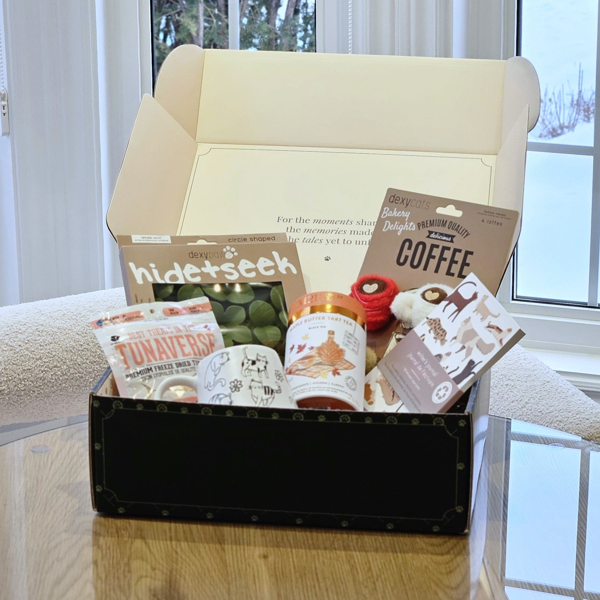 WFH cat gift box