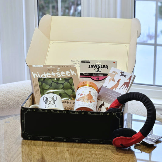 WFH dog gift box