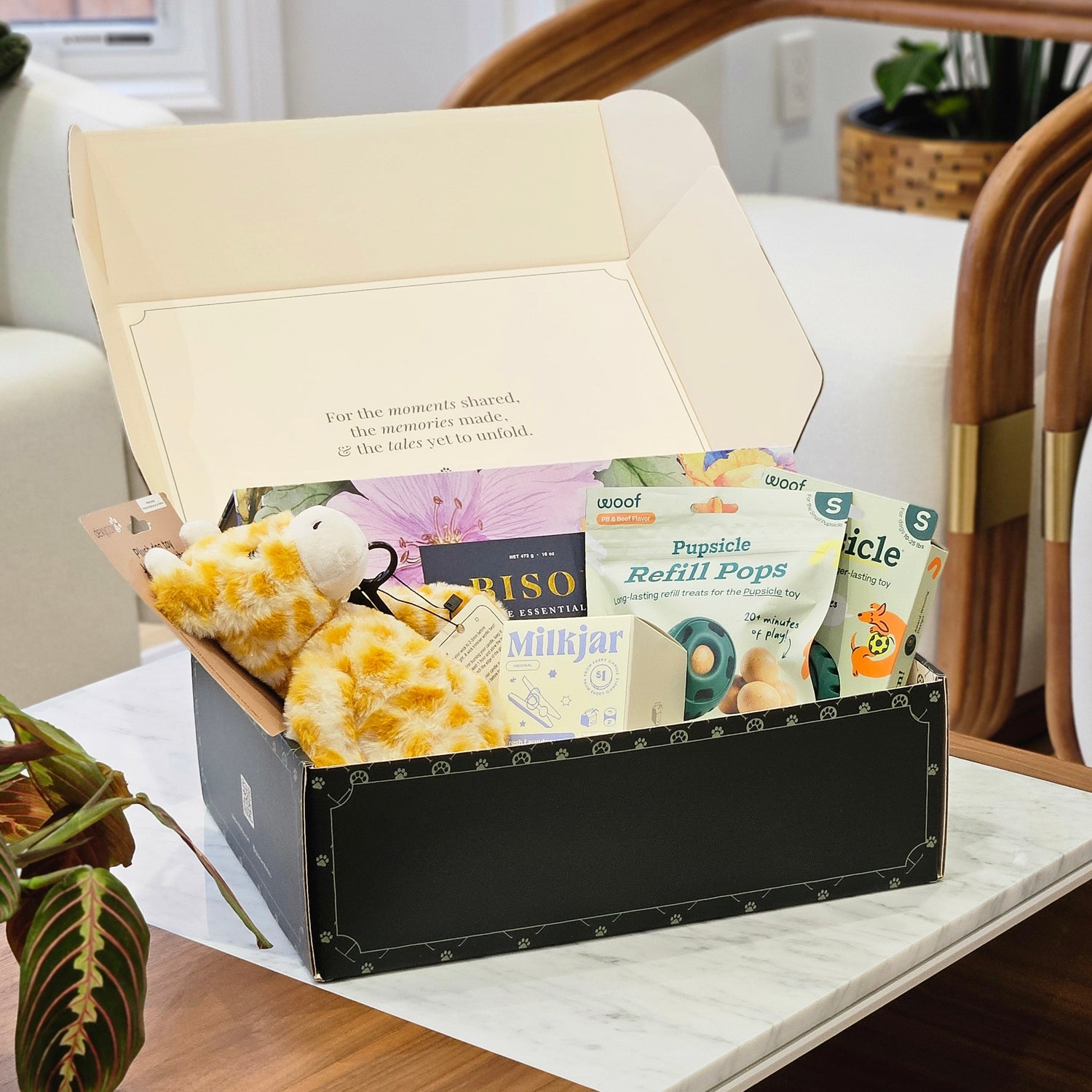pawfect beginning puppy gift box display