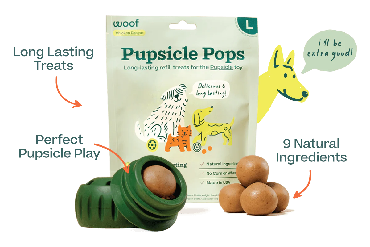 Pawfect Beginnings