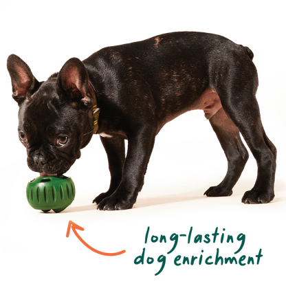Pawfect Beginnings